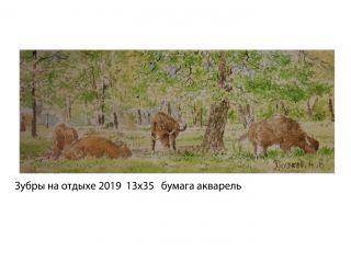 Картина "Зубры на отдыхе" Александр Русляков