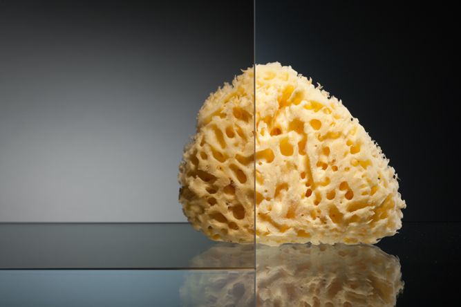 Душевой уголок Vegas Glass ZP+ZPV 110х100 05 05, профиль бронзовый, стекло тонированное фото 5