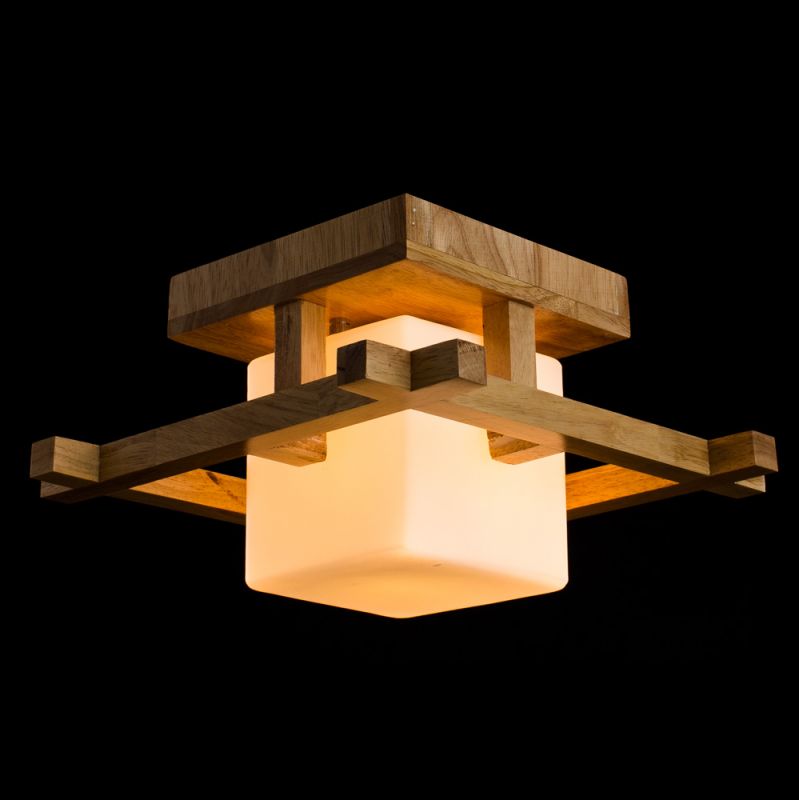 Потолочный светильник Arte Lamp Woods  A8252PL-1BR