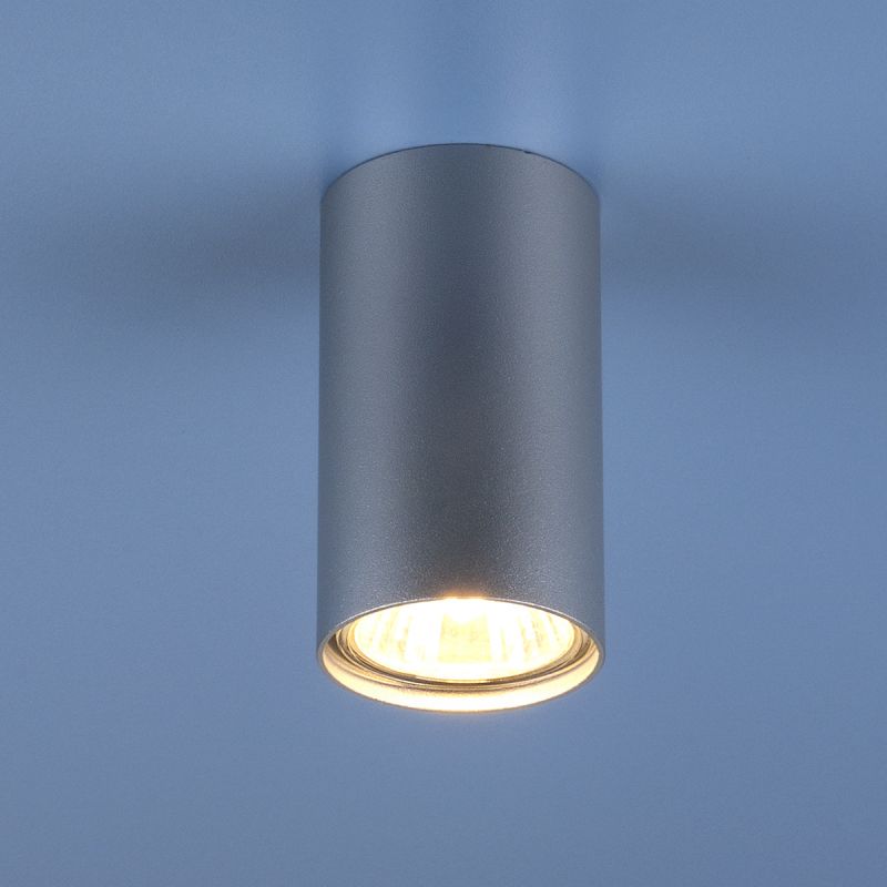 Накладной точечный светильник Elektrostandart 1081 (5257) GU10 SL серебряный