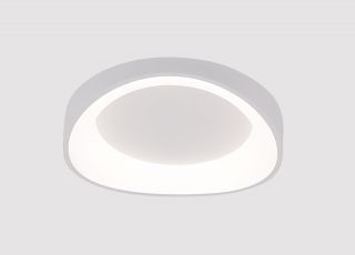 Потолочный светильник Arte Lamp SUALOCIN 46W LED 3000-7000K A2698PL-48WH
