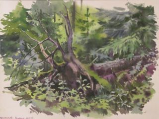 Картина "Рухнувшее дерево" Владимир Лаповок