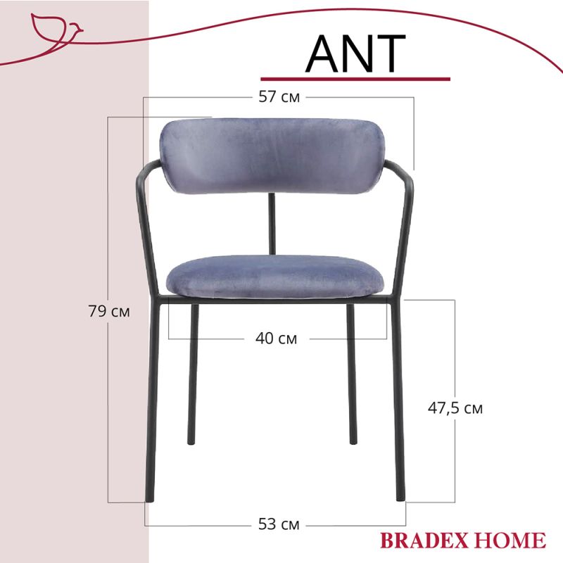 Комплект из 2-х стульев BRADEX Home Ant серый BD-3073033 фото 5