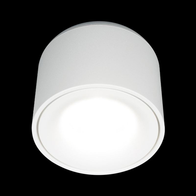 Потолочный светильник Tictac Loft It (Light for You) 10219 White 4000K