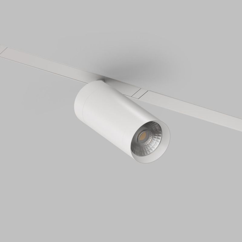 Акцентный светильник Denkirs Smart 20W DIM 3000K-6000K белый DK8020-WH фото 2