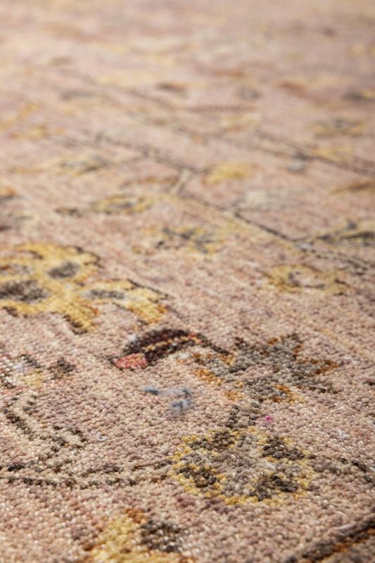 Индийский ковер из шерсти и хлопка Carpet «SOMEPLACE IN TIME» EA3011-SCORAL-SPINK 246 x 305 см фото 8