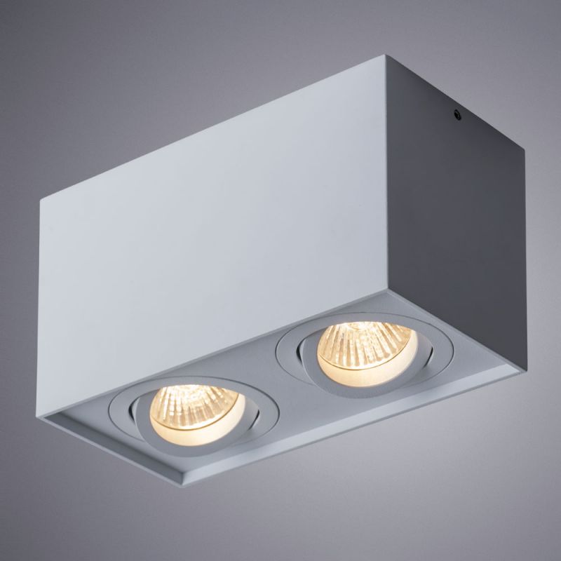 Светильник потолочный Arte Lamp FACTOR A5544PL-2WH фото 2