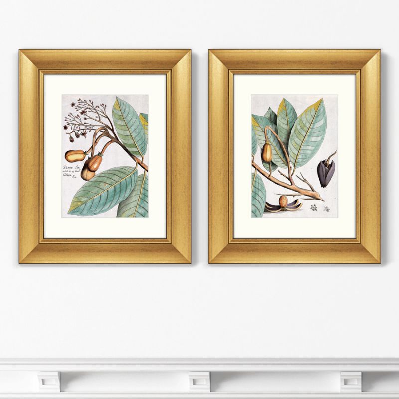 Диптих Exotic plants of the world №5, 1815г. (II), (из 2-х картин) BD-1763500 фото 1