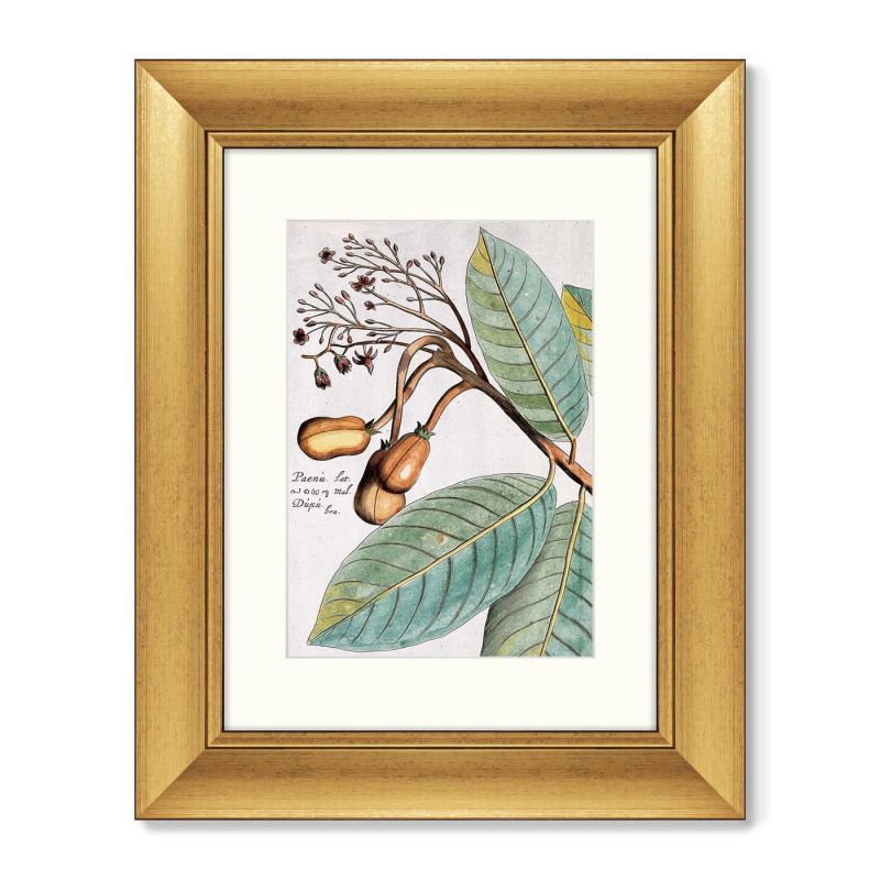 Диптих Exotic plants of the world №5, 1815г. (II), (из 2-х картин) BD-1763500 фото 2