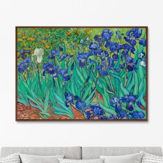 Репродукция картины на холсте Irises, 1889г. ArtNoMore BD-2090823