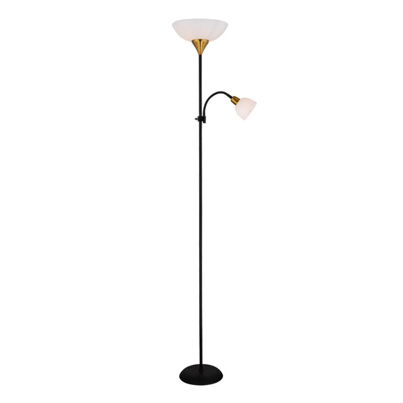 Торшер Arte Lamp DUETTO 60W E27 220V  A9569PN-2BK фото 1