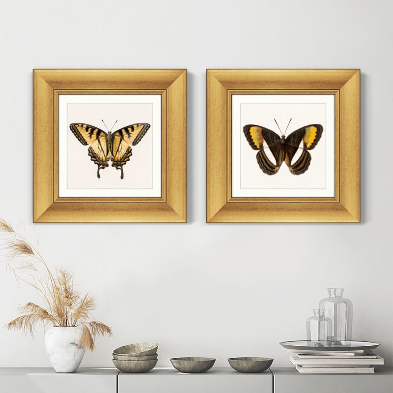 Набор из 2-х репродукций картин в раме Two butterflies, 1711г. ArtNoMore BD-2090820 фото 4