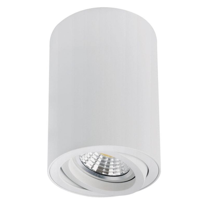 Точечный накладной светильник Arte Lamp SENTRY 35W GU10 A1566PL-1WH фото 1