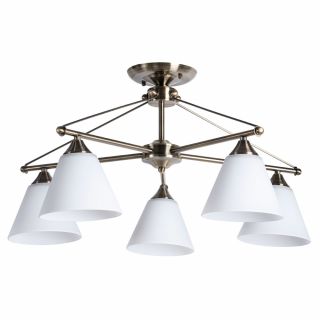 Светильник потолочный Arte Lamp COPTER E27 A3208PL-5AB