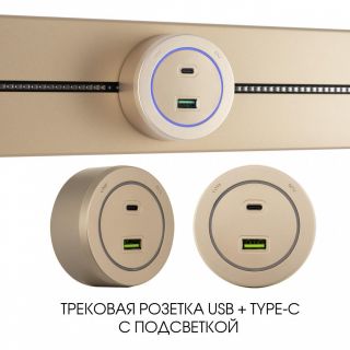 Трековая розетка Arte Milano 3.1A 250V 399731TS/USB-Type-C Gold