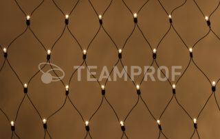 Светодиодная сетка Teamprof  2х2м, статика, черный провод, теплая белая TPF-N2*2-B/WW