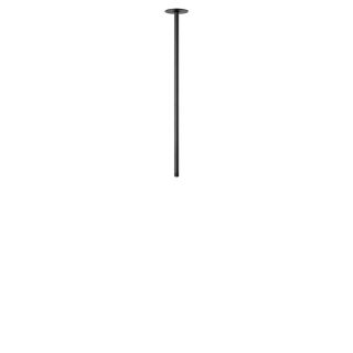 Потолочный светильник LOFT IT Cane LED 3W 4000K 10359/600 Black
