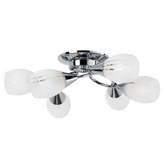 Светильник потолочный Arte Lamp PENNY E27 A2701PL-6CC