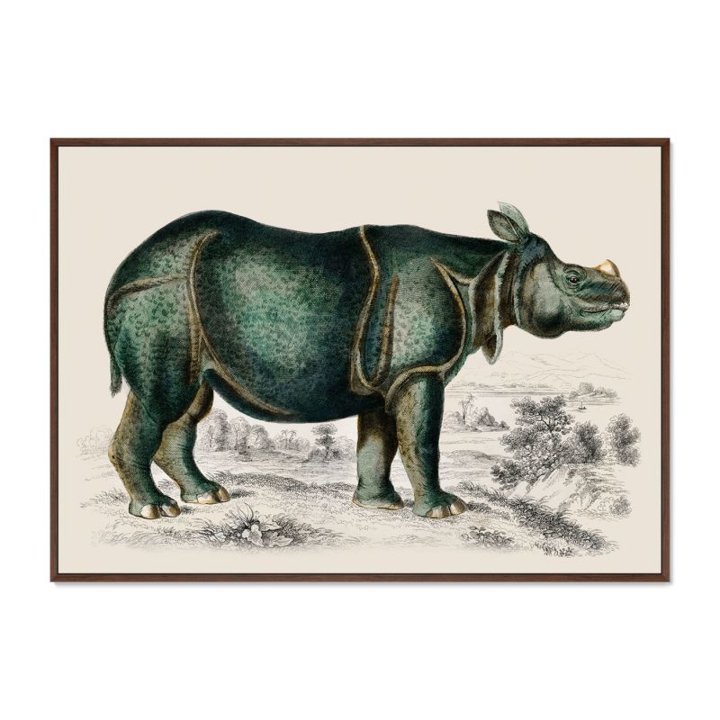 Картина Rhinoceros, 1774г. BD-1763548 фото 2