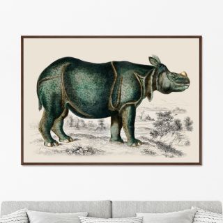 Картина Rhinoceros, 1774г. BD-1763548