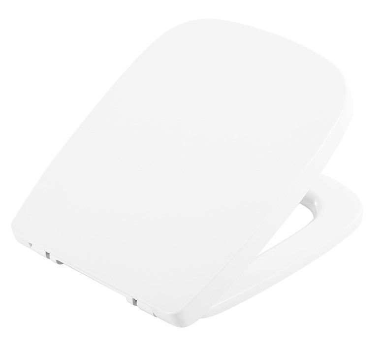 Крышка-сиденье BelBagno BB128SC с микролифтом фото 2