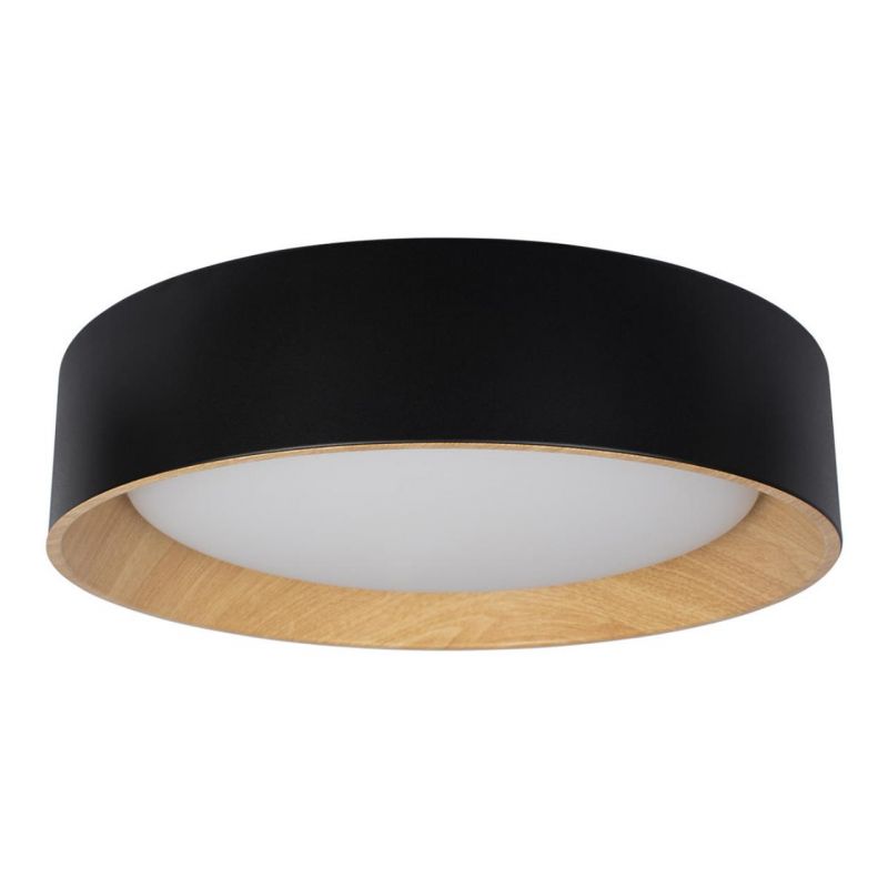 Потолочный светильник Loft It (Light for You) Coin 10202 Black фото 1