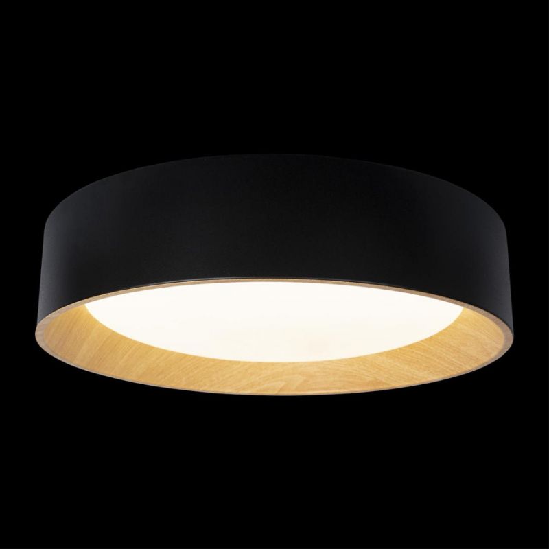 Потолочный светильник Loft It (Light for You) Coin 10202 Black фото 2