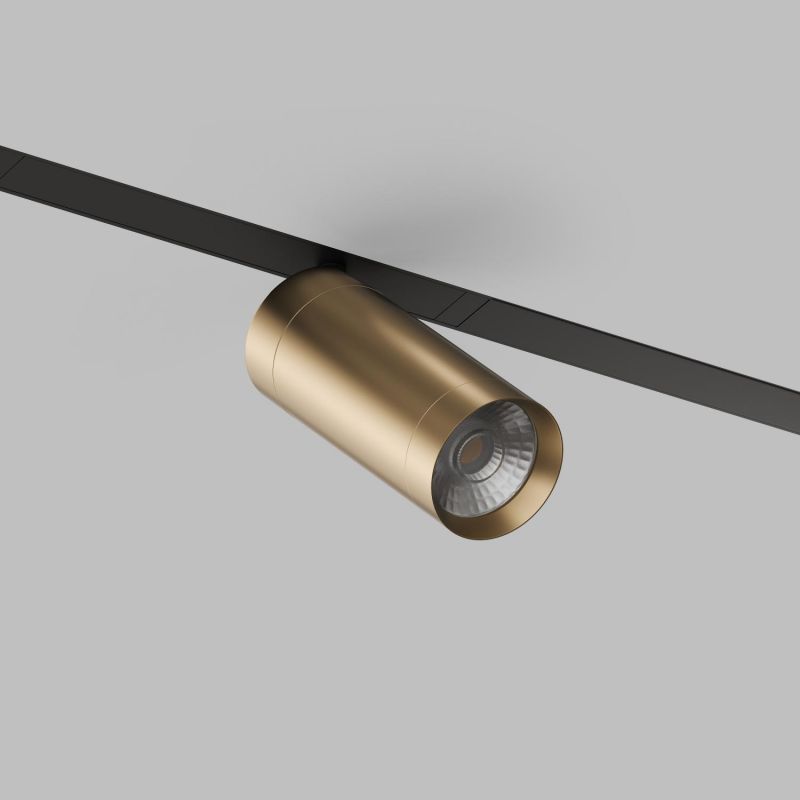Акцентный светильник SMART SPOT Denkirs 20W DIM 3000K-6000K, матовое золото с черным DK8020-BG фото 2
