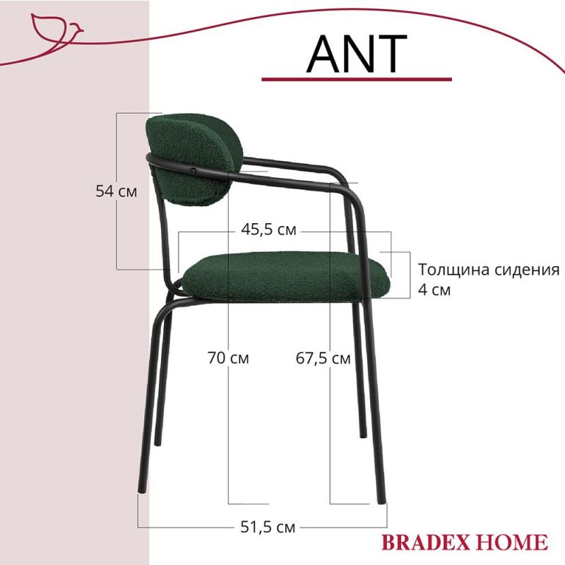 Комплект из 2-х стульев BRADEX Home Ant букле зелёный BD-3066230 фото 10