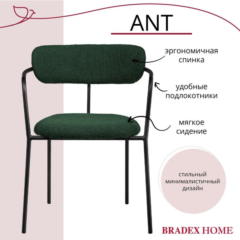 Комплект из 2-х стульев BRADEX Home Ant букле зелёный BD-3066230 фото 4