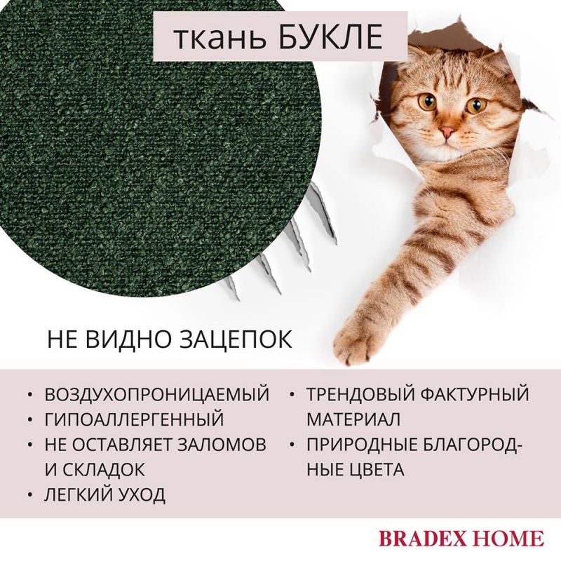 Комплект из 2-х стульев BRADEX Home Ant букле зелёный BD-3066230 фото 6