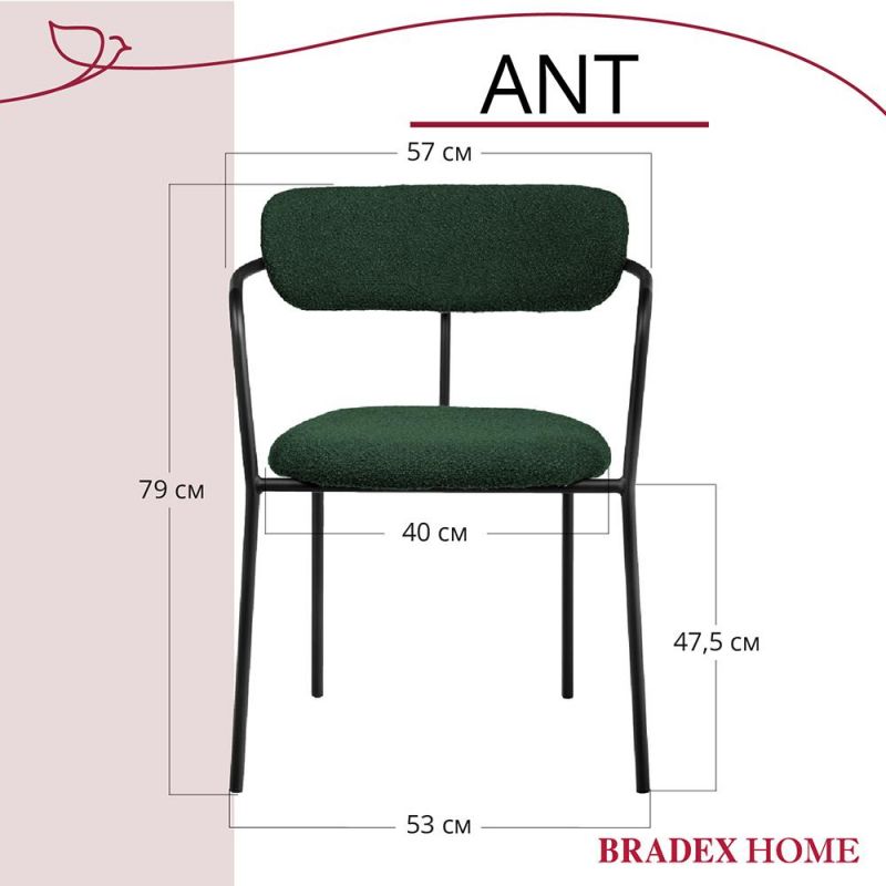 Комплект из 2-х стульев BRADEX Home Ant букле зелёный BD-3066230 фото 9