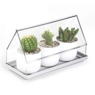 Лоток для выращивания растений micro green house Qualy BD-2330397