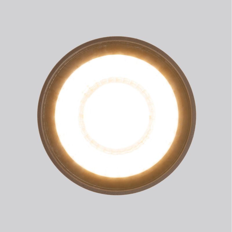 Накладной светодиодный влагозащищенный светильник Elektrostandard Light LED IP54 35132/H черный фото 4