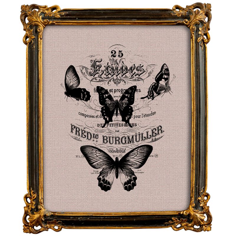 Репродукция ретро-гравюры «Butterfly Dance» в раме «Селин» ByObject  BD-1945905