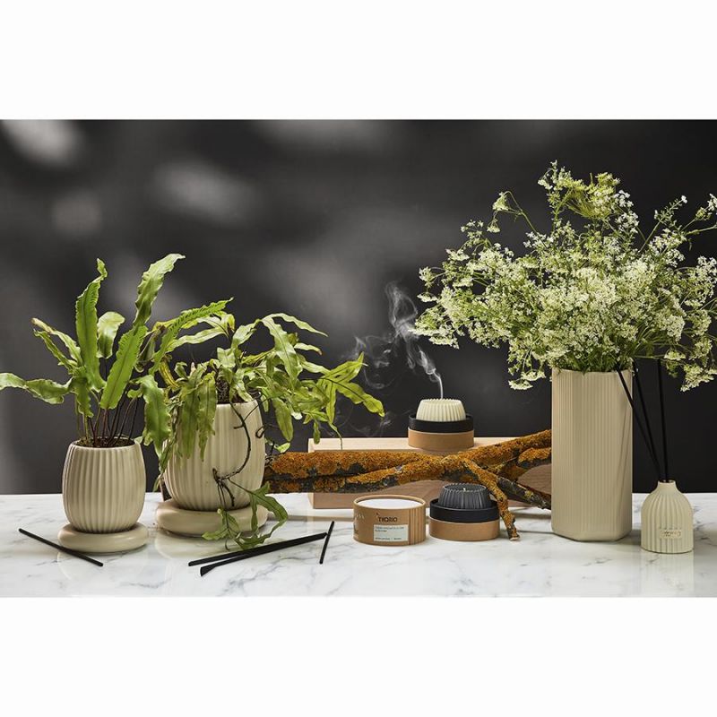 Свеча ароматическая lemon, mandarin & neroli из коллекции edge, бежевый, 30 ч Tkano BD-3043149 фото 15