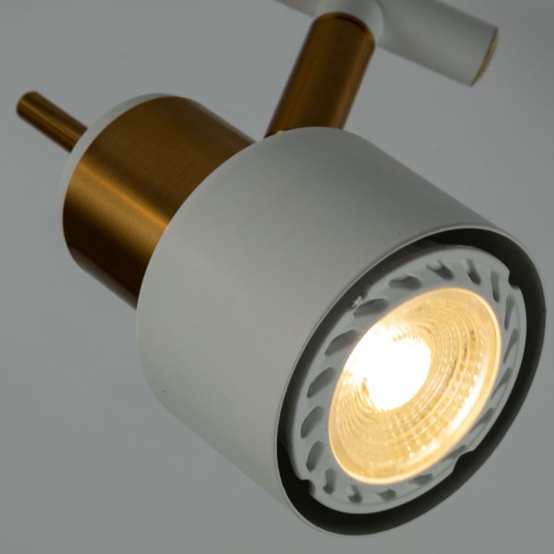 Потолочный светильник Arte Lamp ALMACH A1906PL-2WH