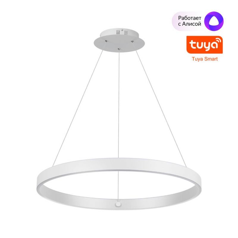 Светильник подвесной NovoTech SOTTO со сменой цветовой температуры LED 50/12W 3000-6000К (теплый,белый,холодный) 359449 OVER фото 2