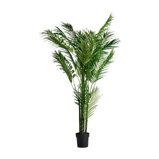 Пальмовое растение Vical PALMERA зеленое 171381