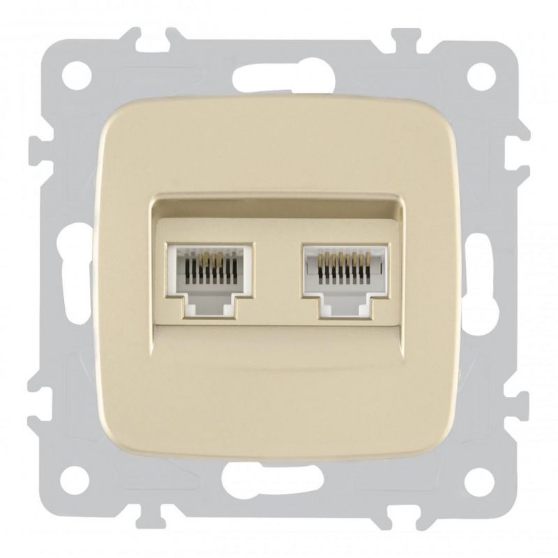 Розетка телефонная RJ11 + компьютерная RJ45 205.44-1.shampan Arte Milano фото 1