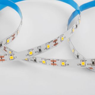 Набор светодиодной ленты Elektrostandart 12V 4,8W 60Led 2835 IP20 теплый белый, 5м