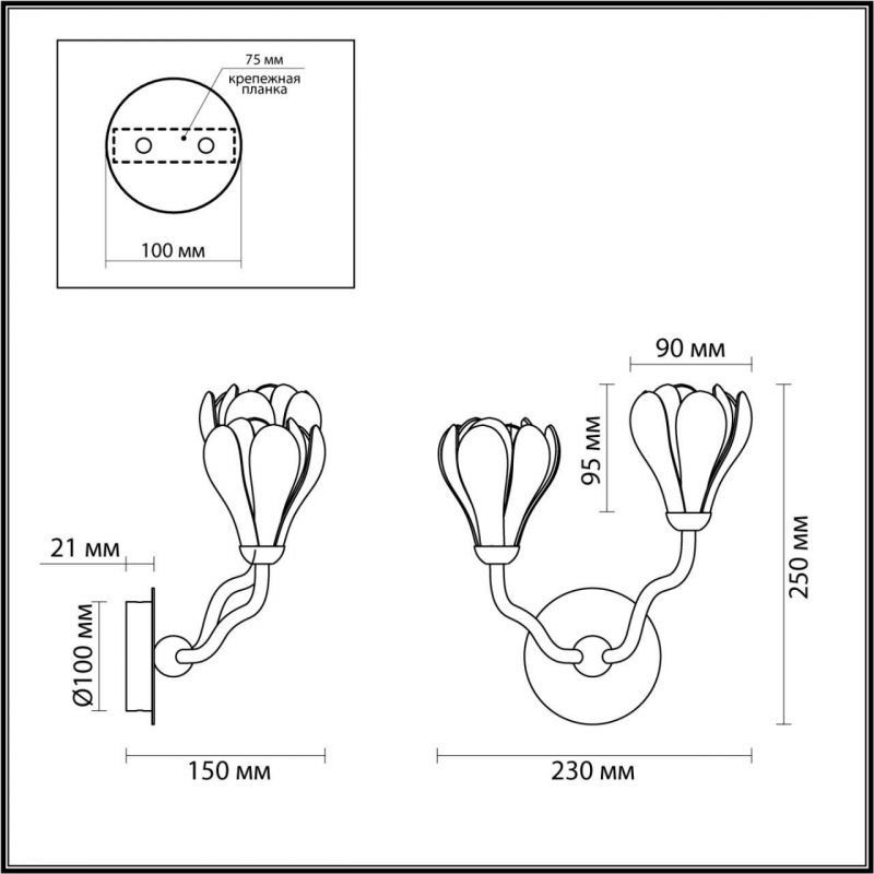 Бра Odeon Light GARDI 5090/2W фото 2