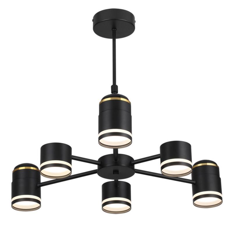 Люстра потолочная Lumion VIRSAVA 10W LED, GX53 2700К (теплый) 8234/6C COMFI фото 2