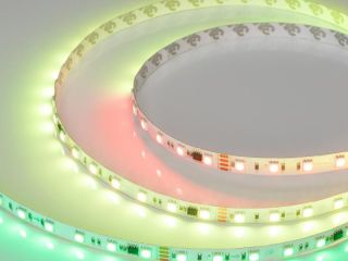 Светодиодная лента герметичная Arlight SPI-PFS-B60-12mm (12 W/m, IP68, 5060, 5m)
