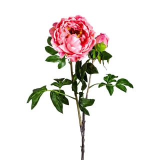 Цветок пиона Vical PEONIA розовый 170997