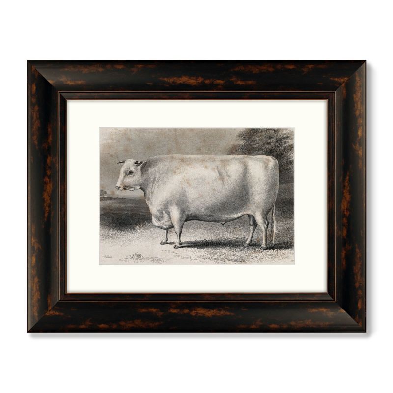 Диптих A Devon bull, 1849г. (из 2-х картин) BD-1763611 фото 3