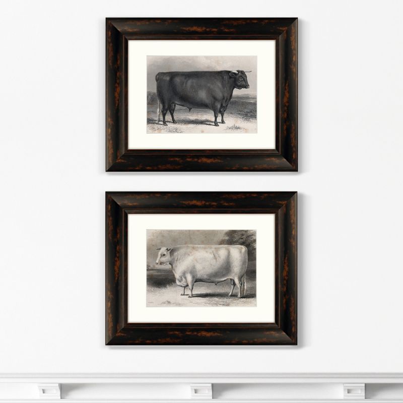 Диптих A Devon bull, 1849г. (из 2-х картин) BD-1763611 фото 1
