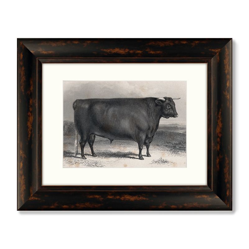 Диптих A Devon bull, 1849г. (из 2-х картин) BD-1763611 фото 2